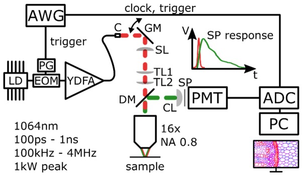 Fig. 1