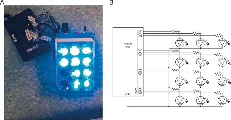 Figure 4—figure supplement 1.