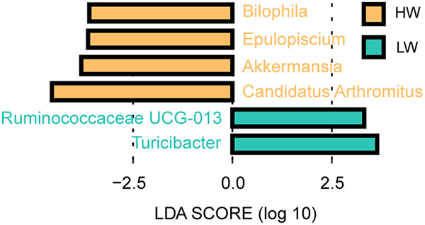 FIG 5