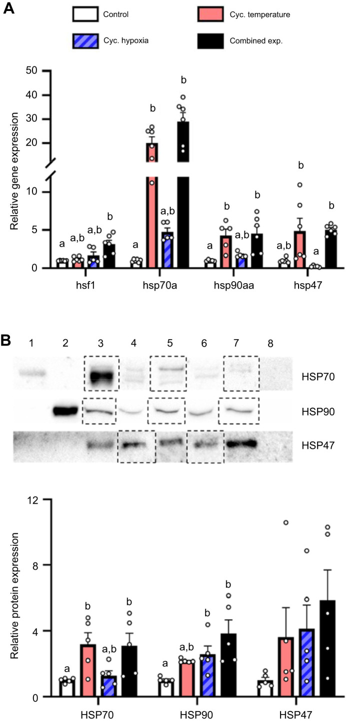 Fig. 7.