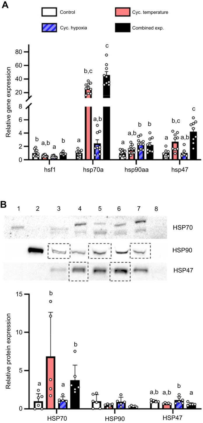 Fig. 6.