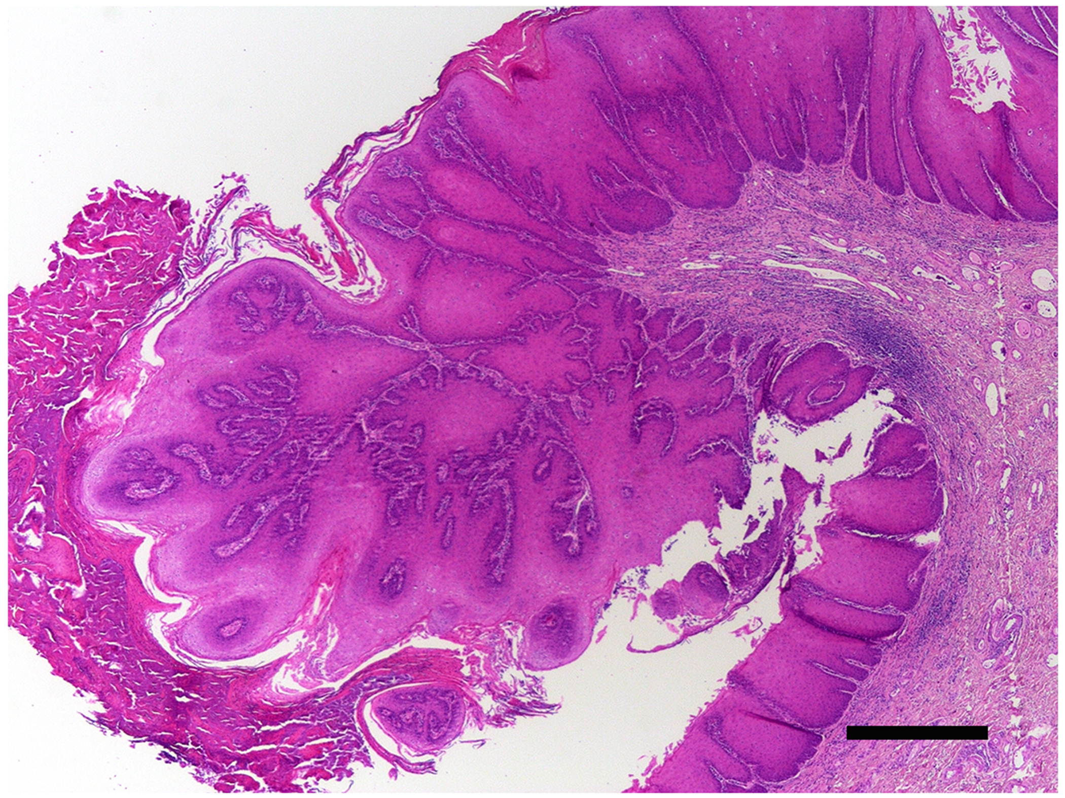 Figure 6.