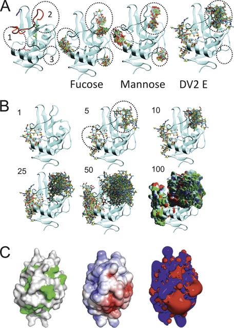 FIGURE 5.