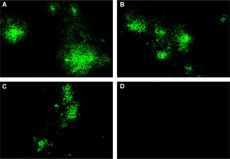 Fig 4