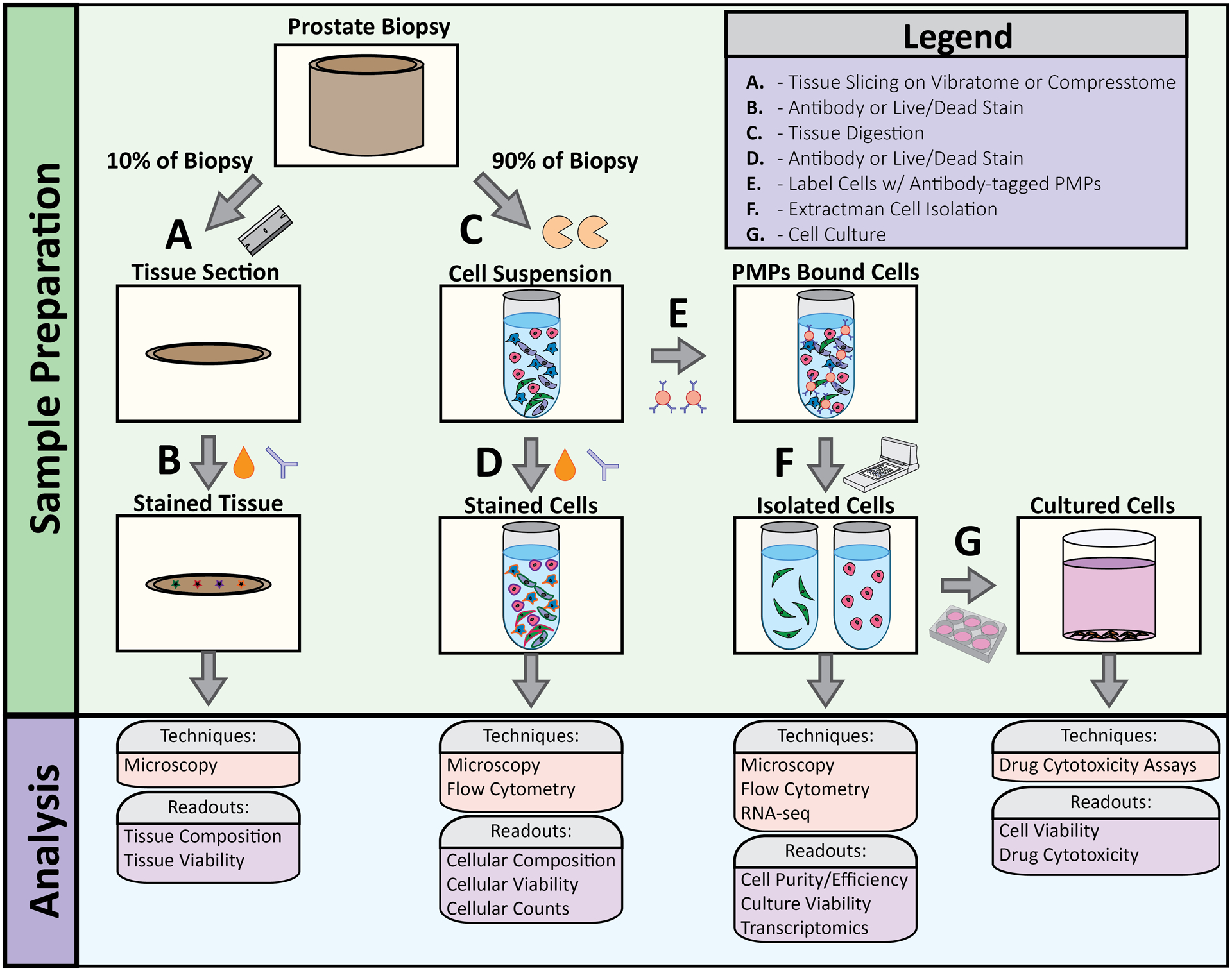 Figure 2: