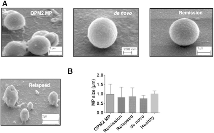 Figure 6