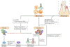 Fig. 4 |