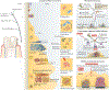 Fig. 3 |