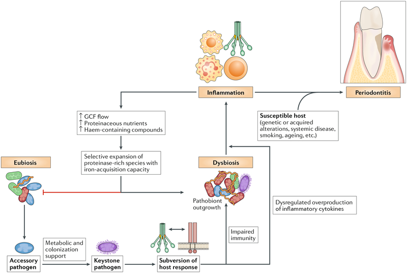 Fig. 4 |