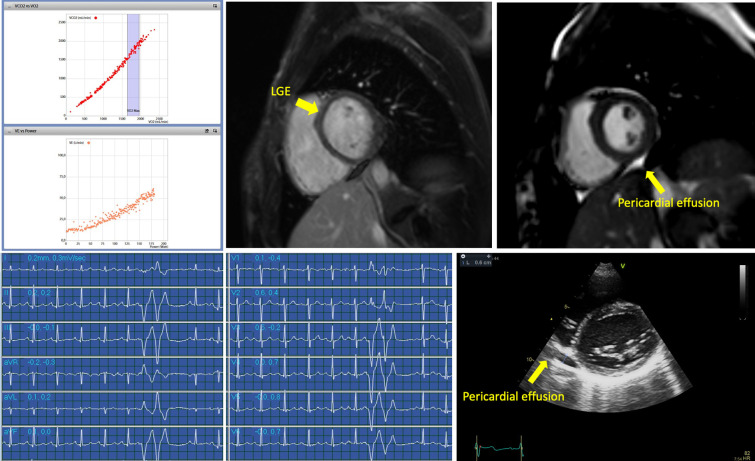 Supplementary Fig. 1