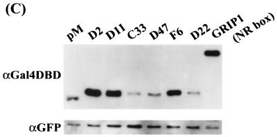 FIG. 3