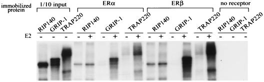 FIG. 8