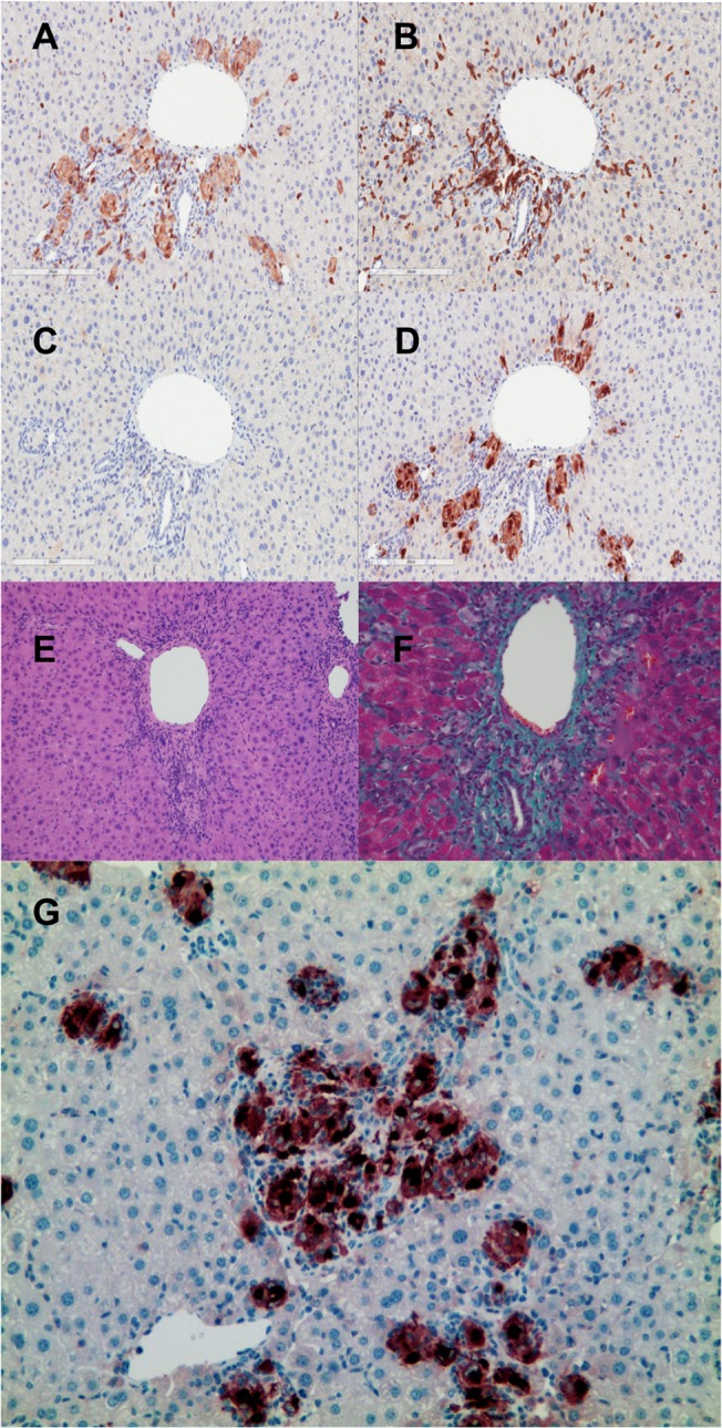 Fig 5