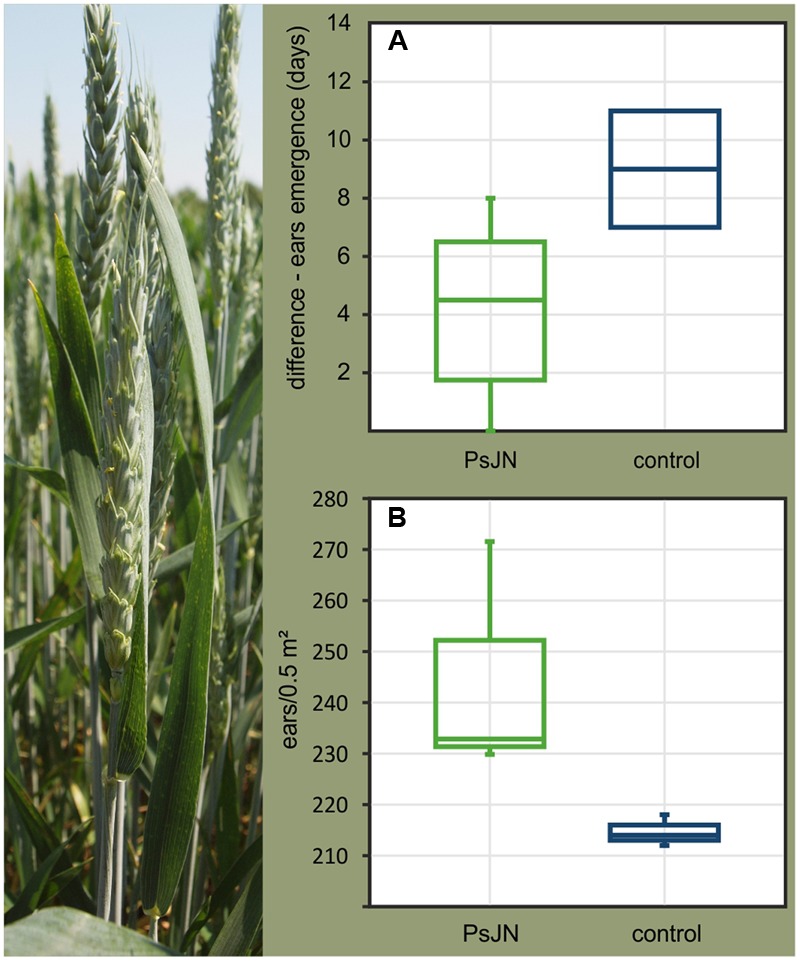 FIGURE 3