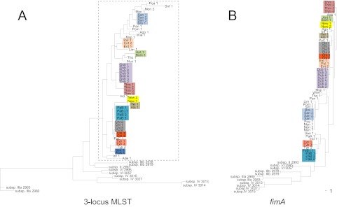 FIG 2 