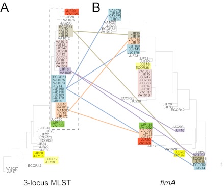 FIG 3 