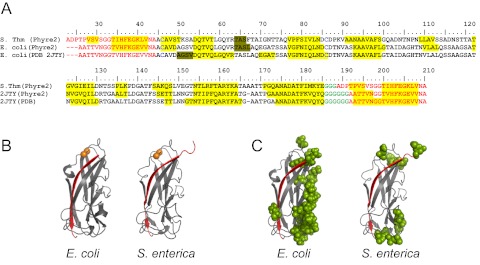 FIG 6 