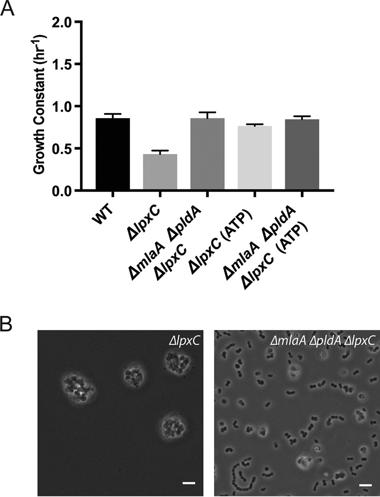 FIG 3