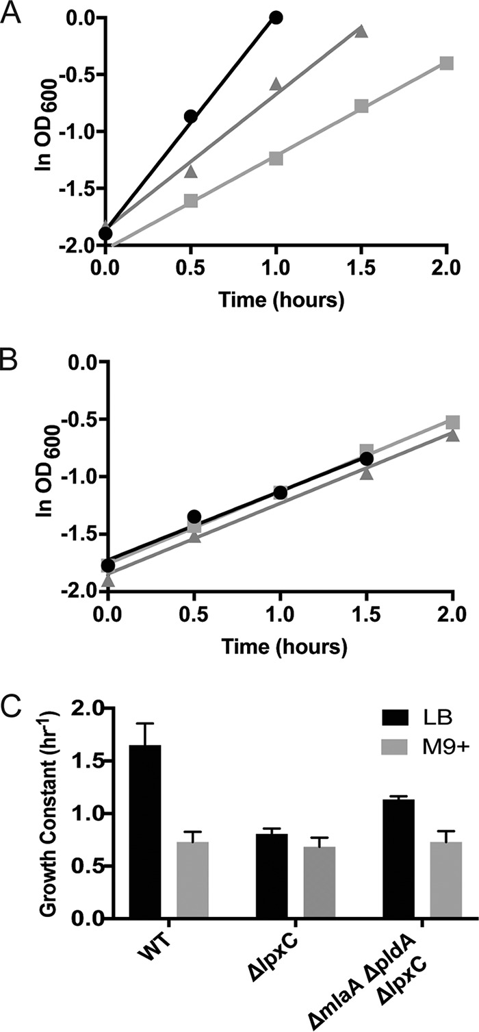 FIG 2