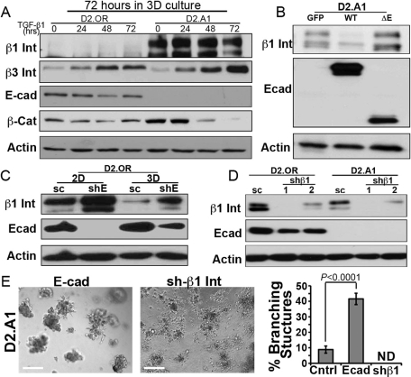 FIGURE 7: