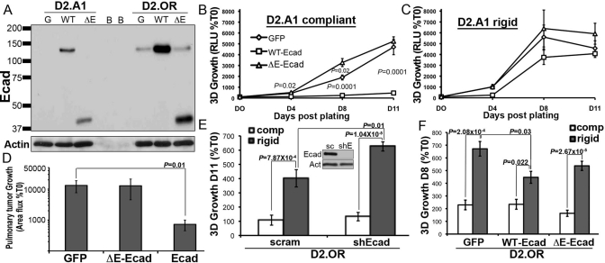 FIGURE 6: