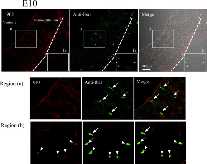 Figure 14