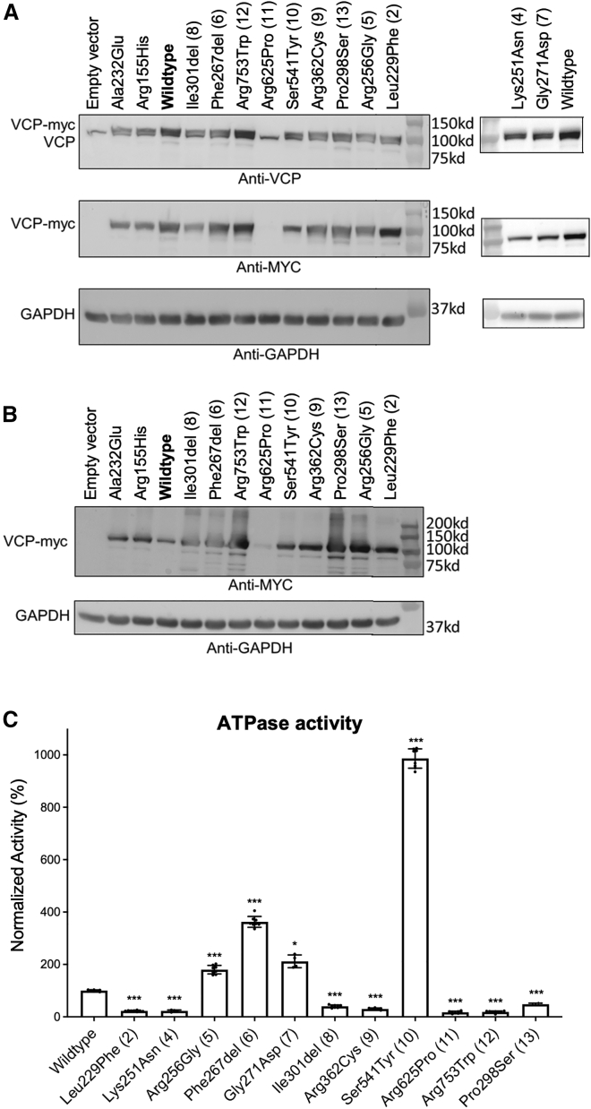 Figure 2