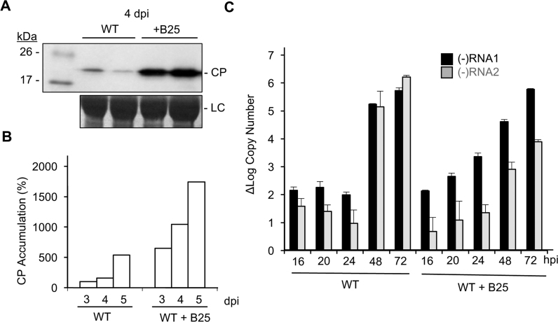 Figure 7.