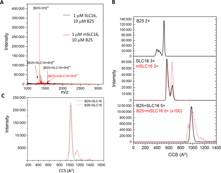 Figure 2.