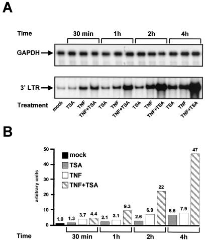 FIG. 8.