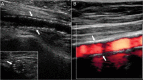 Figure 6
