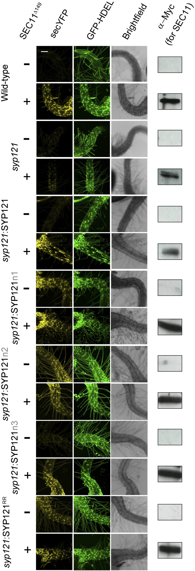 Figure 6.