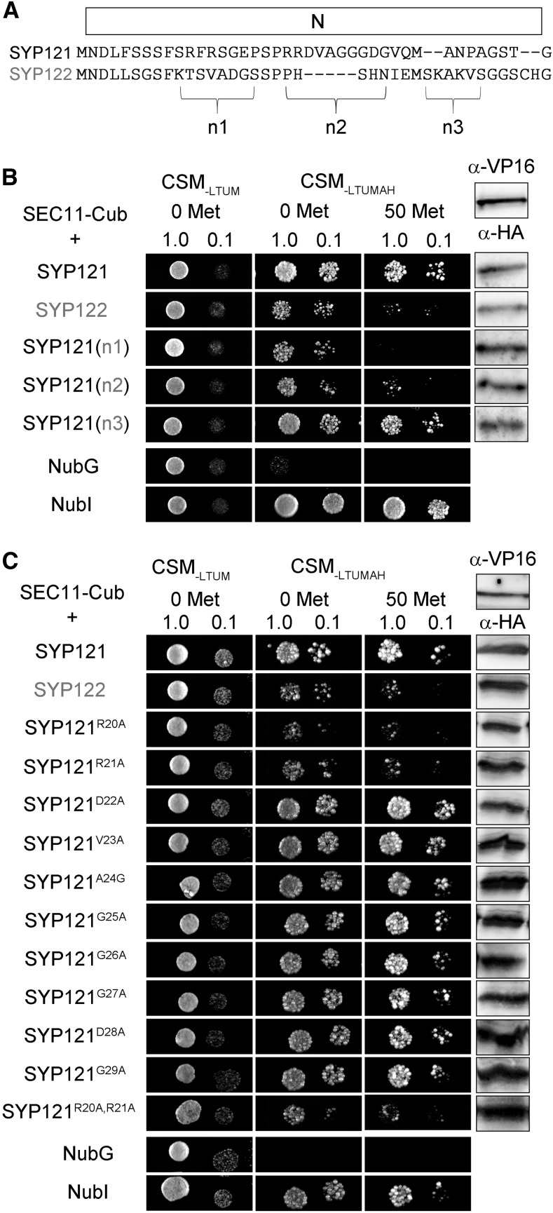 Figure 3.