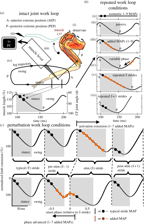 Figure 1.