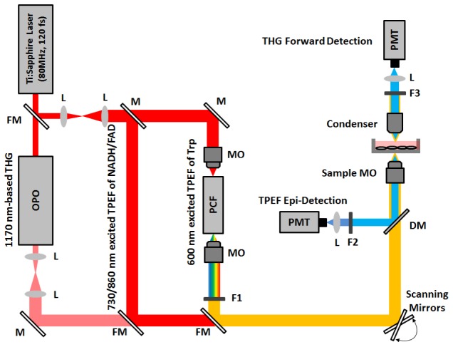 Fig. 1