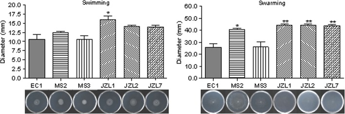 Fig. 7