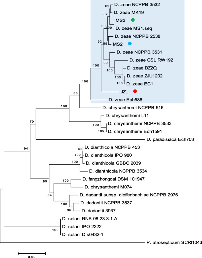 Fig. 2