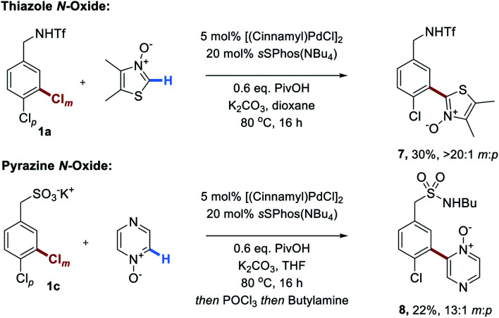 Scheme 5