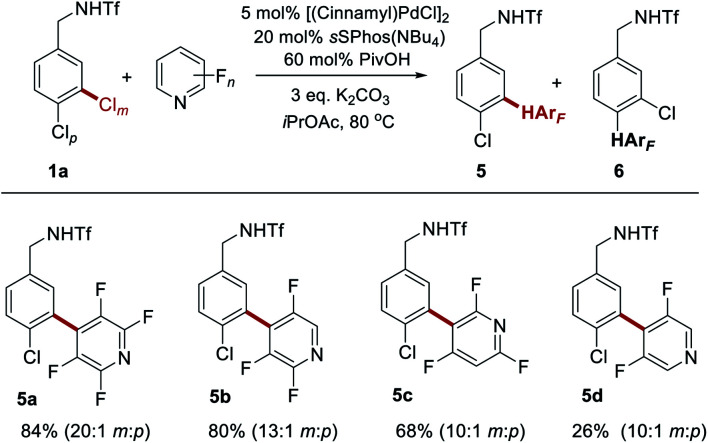 Scheme 3