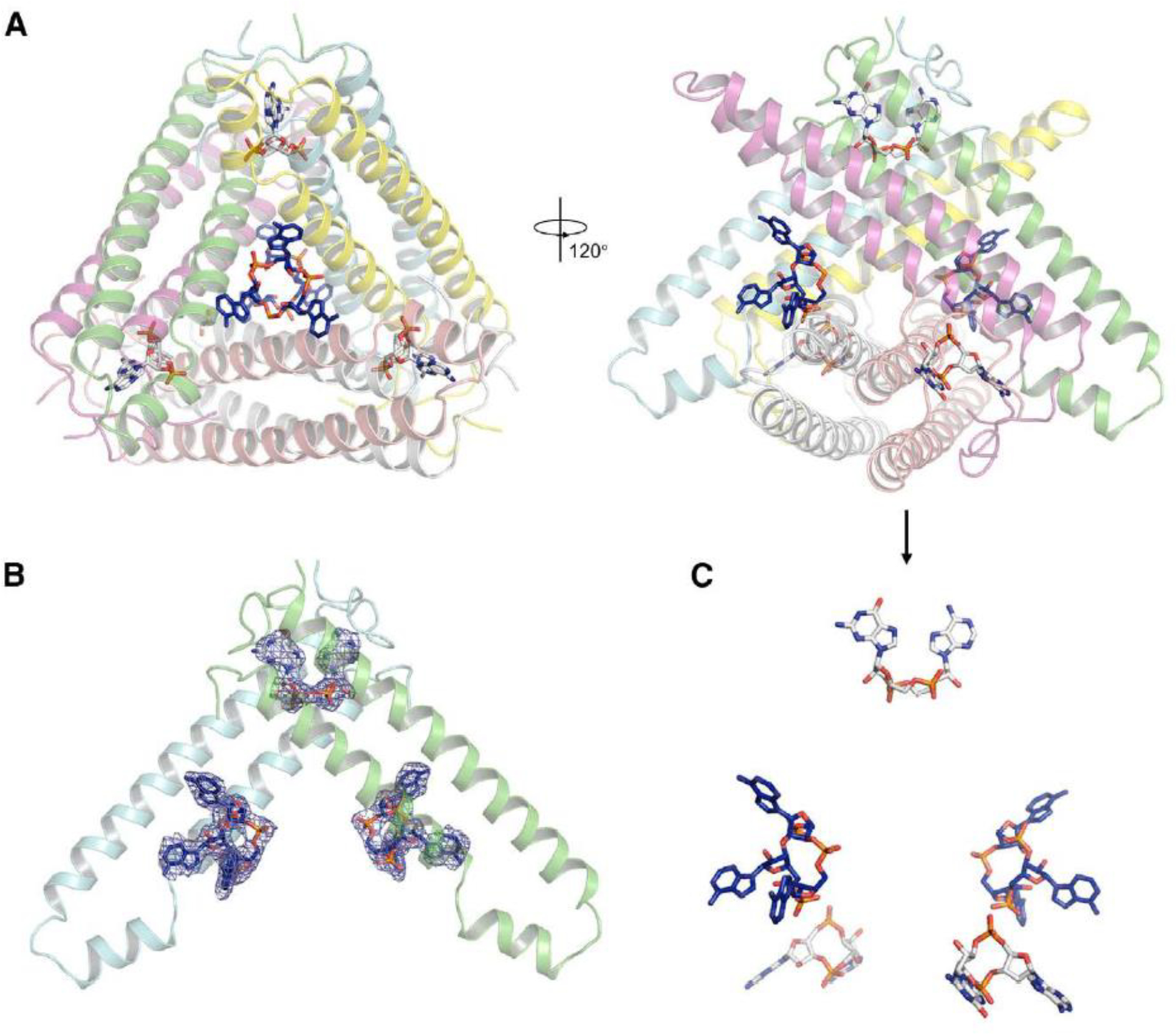 Figure 3.