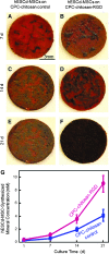 FIG. 7.