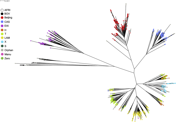 Figure 1