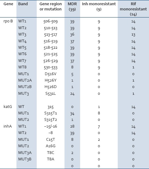 graphic file with name JGID-7-60-g004.jpg