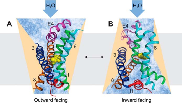 FIGURE 7.