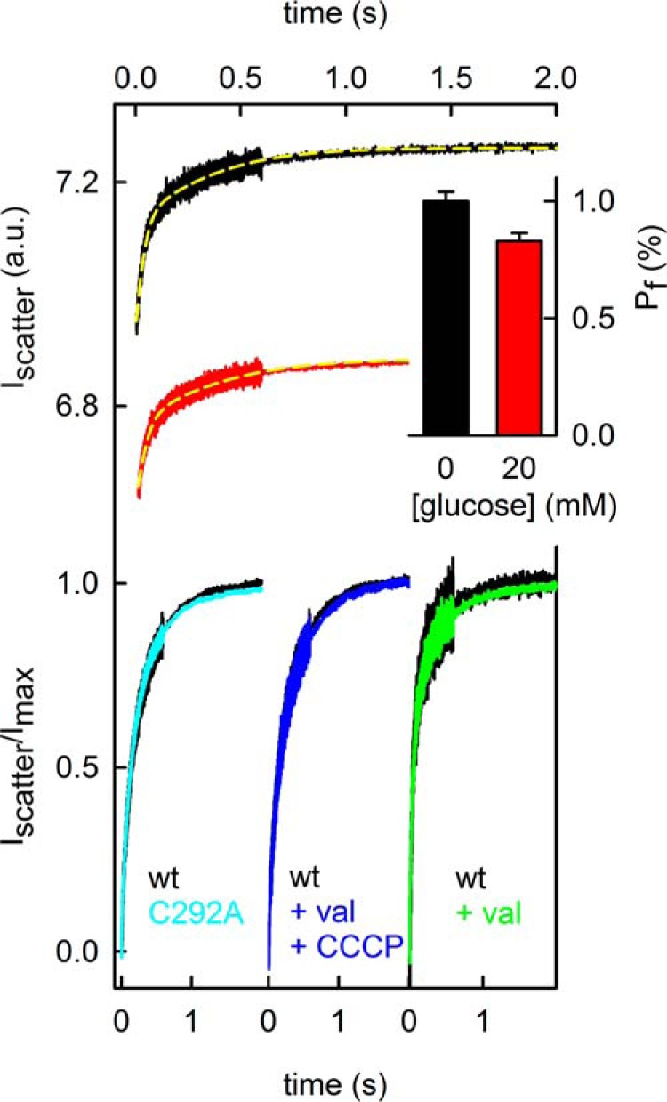 FIGURE 5.