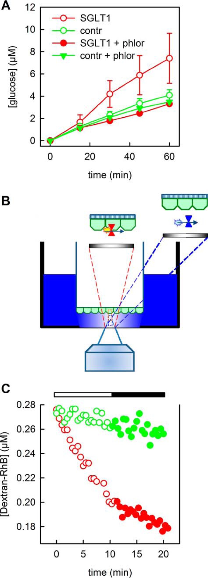 FIGURE 3.