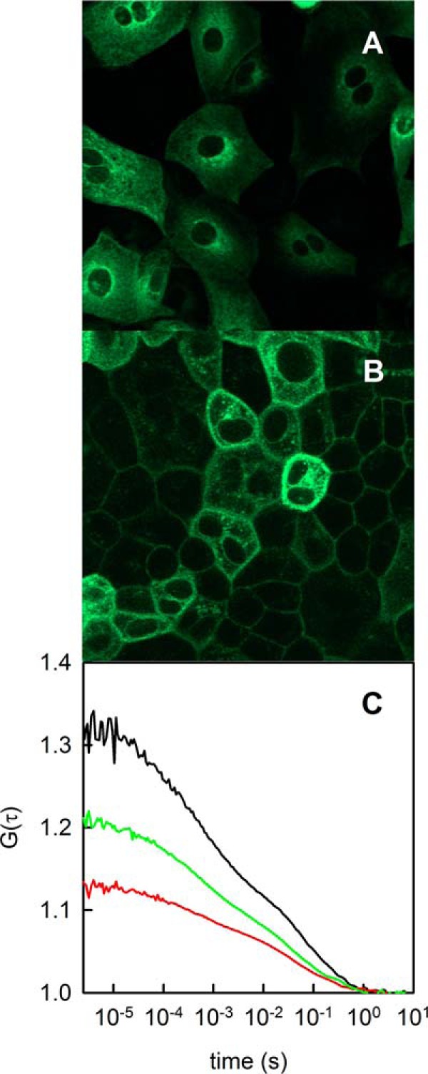 FIGURE 1.