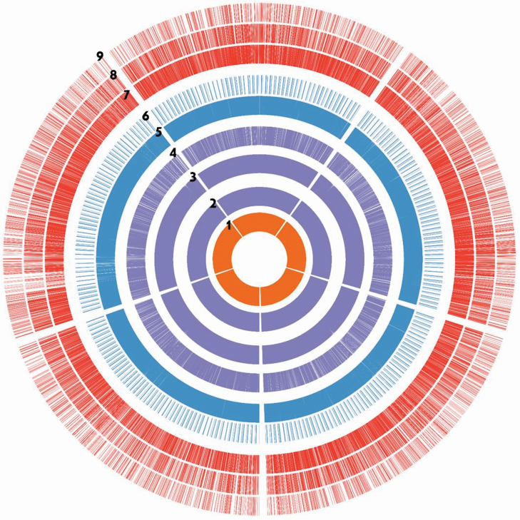 Figure 6.