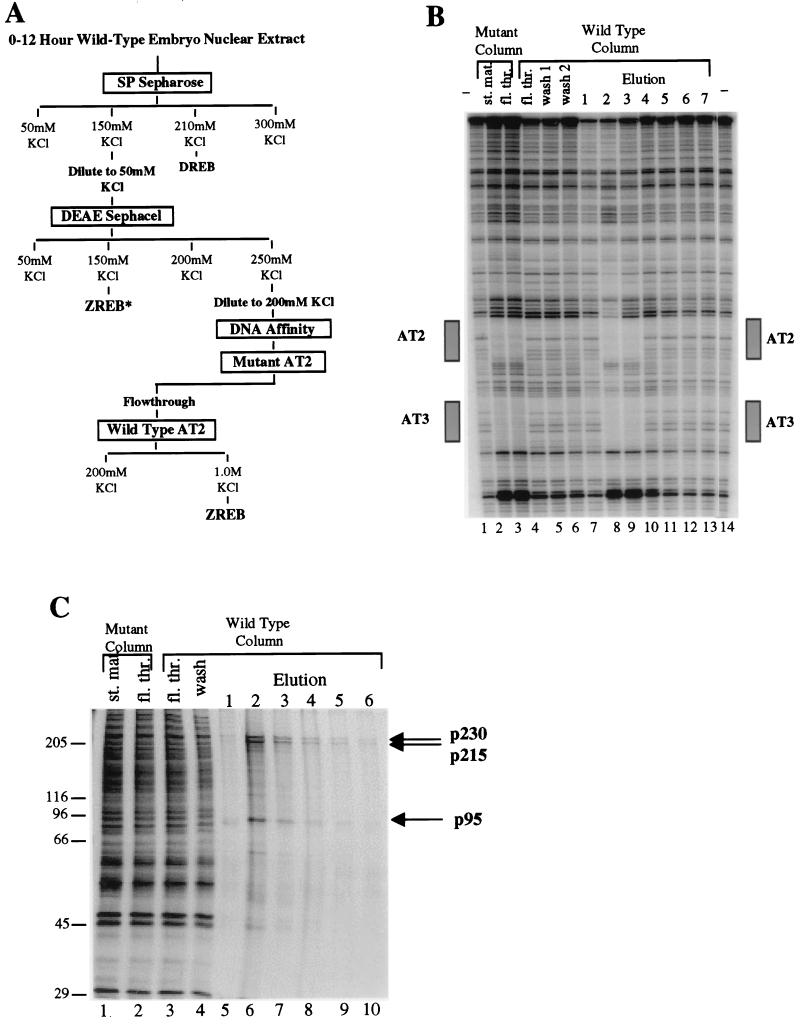 FIG. 1