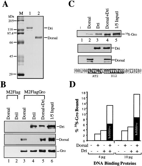 FIG. 6